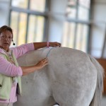 Judy Wardrope - Hilltop Farms 2012