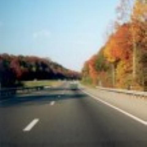 autumn road (Small)